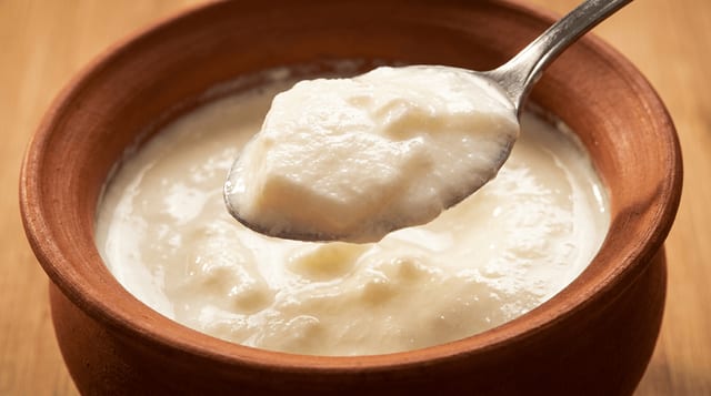Plain Dahi.